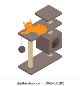Cute ginger cat playing on tree at home. Isolated on white background. Isometric view. Vector