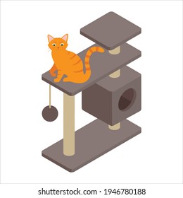 Cute ginger cat playing on tree at home. Isolated on white background. Isometric view. Vector