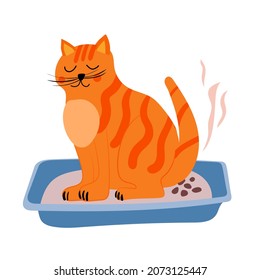 Cute Ingwer Katzensprung in der Wurfschachtel. Toilettenartikel, hygienische Illustration, Cartoon-Stil einzeln