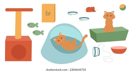 Cute ginger cat and a set of items for cats. Tray, bowl, ball, mouse, scratch, leash, food, bed for sleeping.vector