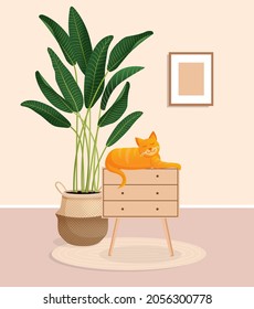 Cute ginger cat sits on a chest of drawers. Living room interior with animal, ficus and home decor. Vector illustration of a room without people