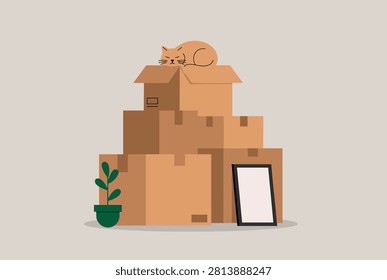 Cute ginger cat sleeping peacefully on top of a stack of cardboard moving boxes next to a plant and frame.