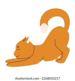 Cute ginger cat stretches paws forward. Cat yoga. Domestic animal flat vector illustration