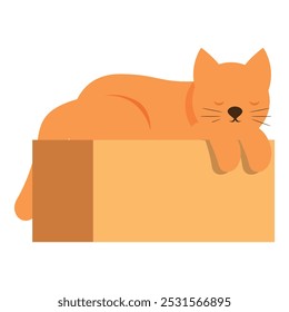 Cute ginger cat is taking a nap on a cardboard box, enjoying a moment of tranquility