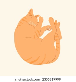 Cute ginger color cat sleeping view from above. Kitty asleep relaxing and hiding its nose between paws. Flat vector illustration isolated. Cosy pet image.