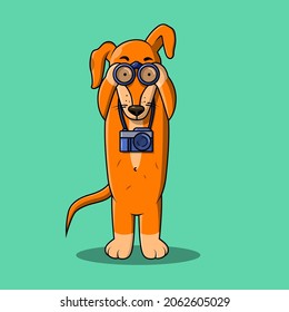 Cute ginger dog with binoculars