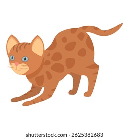Cute ginger kitten with blue eyes is stretching its body and getting ready to play