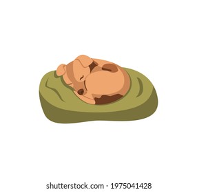 A cute ginger puppy sleeps curled up on a green pillow. Flat vector illustration.