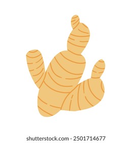 Cute ginger root plant isolated on white background. Spicy herb pictogram original design. Vector shabby hand drawn illustration