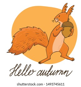 A cute ginger squirrel with acorn. Hand lettering - Hello autumn. Hand-drawn vector illustration.