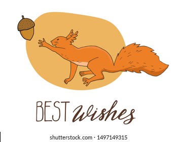 A cute ginger squirrel reaches for the acorn. Hand lettering - Best wishes. Hand-drawn vector illustration.