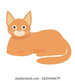 Gato de mesa gengibre bonito deitado com uma expressão feliz