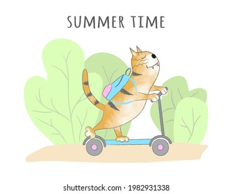 Cute ginger tabby cat rides on a scooter. Summer time. Cartoon vector illustration, design for print, sticker and postcard. Isolated on white background. Hand-drawing.