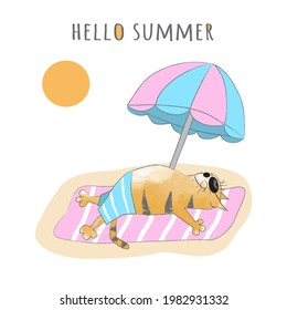 Cute ginger tabby cat sunbathing on the beach under an umbrella. Hello summer. Cartoon vector illustration, design for print, sticker and postcard. Isolated on white background. Hand-drawing.