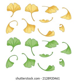 Cute Ginkgo Vector Isolated Set