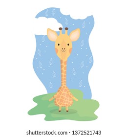cute giraffe adorable character