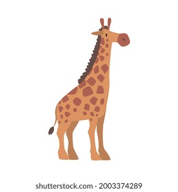 Cute Giraffe African Animal, Wild Herbivore Savannah Animal Cartoon Vector Illustration