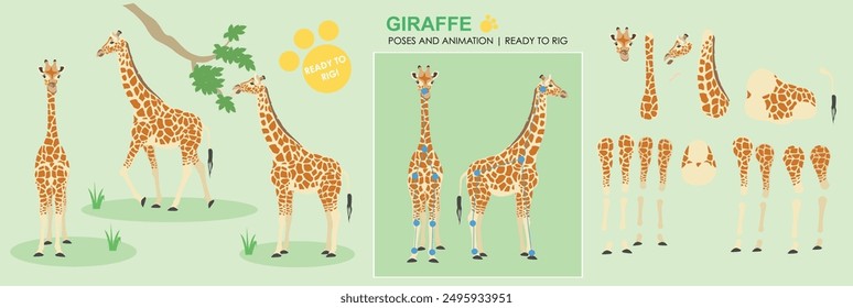 Cute Giraffe animal character ready for animation vector rig ready cartoon character with multiple poses and angles, eating walking safari animal, zoo, wild animals. 