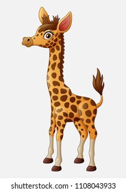 Cute giraffe cartoon isolated on white background
