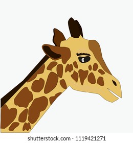 Cute Giraffe in cartoon style, vector art and illustration.