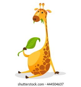 Cute giraffe cartoon vector illustration. Wild mammal safari giraffe with slim neck. Vector savanna giraffe eating green leave. Tropical giraffe sitting with long neck.