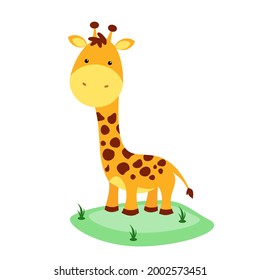 cute giraffe cub illustration. Use it for happy birthday invitation cards, t-shirt screen printing, children's book covers.