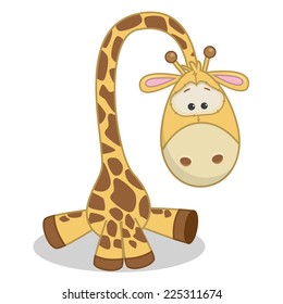 Cute Giraffe isolated on a white background 