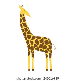 Cute giraffe isolated on white background in vector