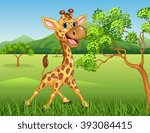 Cute giraffe in the jungle