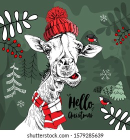 Cute giraffe in knitted red hat with pompom, scarf and birds on a forest background. Christmas and New year card, Humor composition, hand drawn style print. Vector illustration.