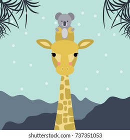 Cute giraffe and koala bear colored looking straight at you. Vector illustration. Modern design.