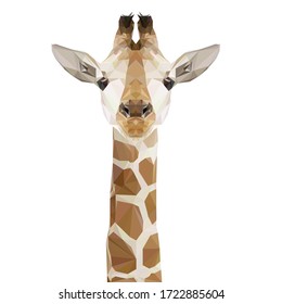 arte de polos adorables