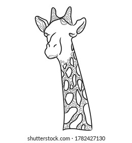 Cute giraffe on white background, Black and white vector. Page for coloring.
