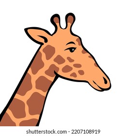 Cute giraffe on a white background. Head animal. African herbivore mammal. Zoo and safari. Cartoon vector isolated baby illustration. Hand drawn outline