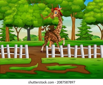 Corta una jirafa corriendo por el camino