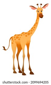 Cute giraffe. Safari animal. Africa wildlife symbol
