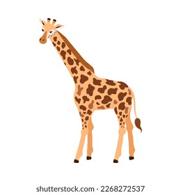 Cute giraffe standing, cartoon flat vector illustration isolated on white background. African Savannah animal drawing. Concepts of safari and zoo. Giraffe character, great for children.