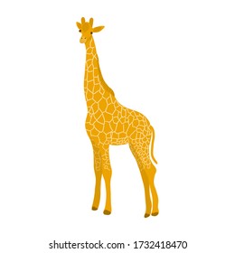 cute giraffe vector illustration. African safari animal