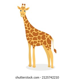 Cute giraffe. Vector illustration in cartoon style. Baby room decoration, print design for kids clothing. Greeting card design for girl, for boy. Drawn giraffe. White background. Yellow and brown.