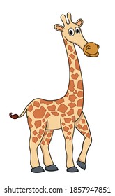 cute giraffe. vector illustration character in cartoon style. isolated on white background