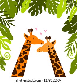 Cute giraffes cuddle under tropical leaves. Happy valentines day. Vector illustration. 