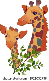 cute giraffes kid baby mother cartoon iluustration vector animal giraff little leaves nature