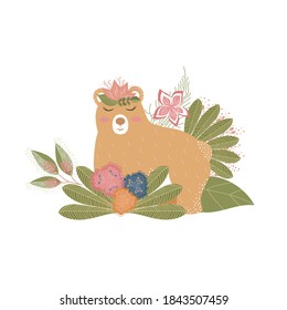 Cute girl bear in bushes and grass cartoon animals in natural landscape vector illustration
