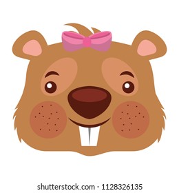 cute girl beaver funny animal