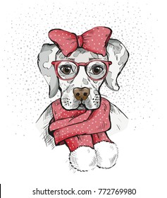 Cute Girl Dog in a winter scarf and red bow on its head. Pedigree dog. Labrador. Vector illustration for a postcard, poster, print for clothes or accessories. New Year's and Christmas.