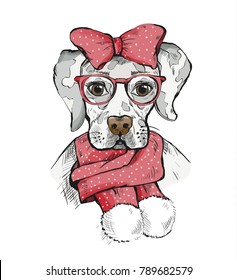 Cute Girl Dog in a winter scarf and red bow on its head. Pedigree dog. Labrador. Vector illustration for a postcard, poster, print for clothes or accessories. New Year's and Christmas.