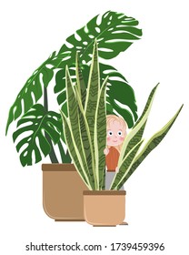 A cute girl in jeans and a fashionable T-shirt peeks out from behind the large green leaves of a houseplant. Sansevieria and monstera in a ceramic pot. Vector children's illustration.