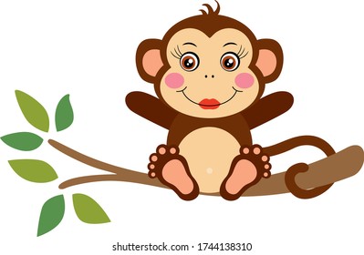 Cute girl monkey sitting on tree branch
