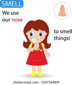 Cute Girl Smelling Nose Funny Montessori Stock Vector (Royalty Free ...