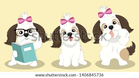 Cute Girly Shitzu in Different Poses